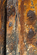 Patina 4